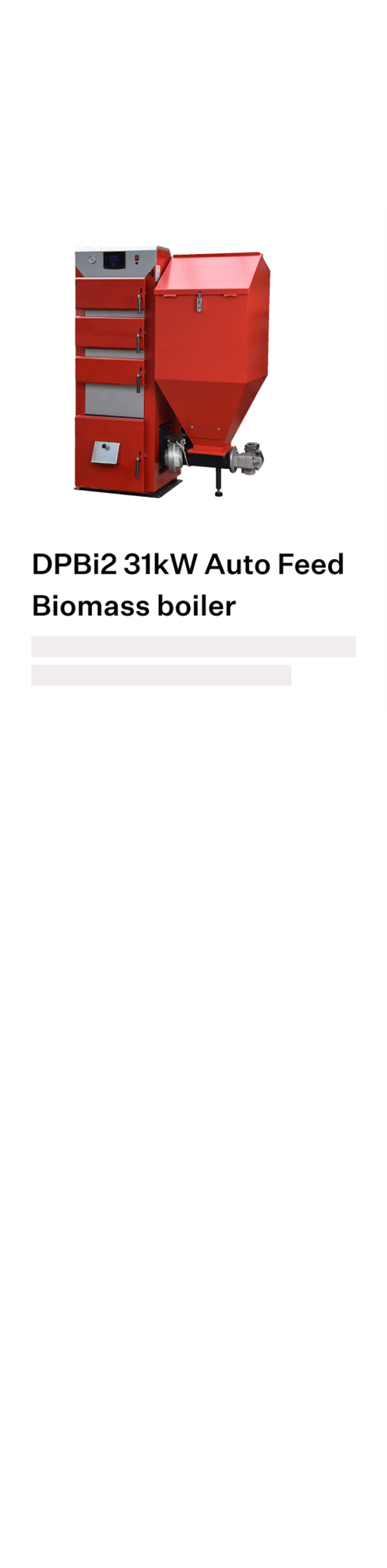 Auto Feed Biomass Boiler